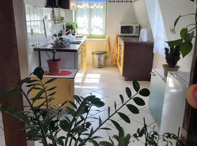 Pieschen Hertz _toller Preis *