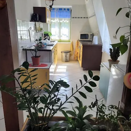 Pieschen Hertz _toller Preis *