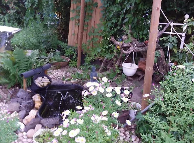 Homestay szállás Pieschen Hertz _toller Preis Drezda