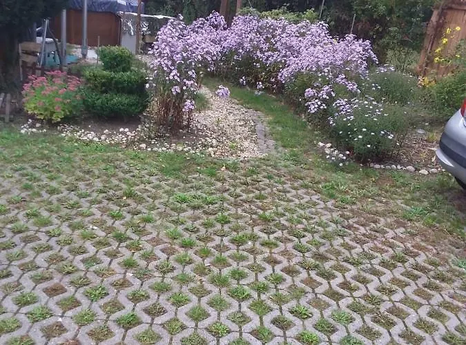 Pieschen Hertz _toller Preis Drezda